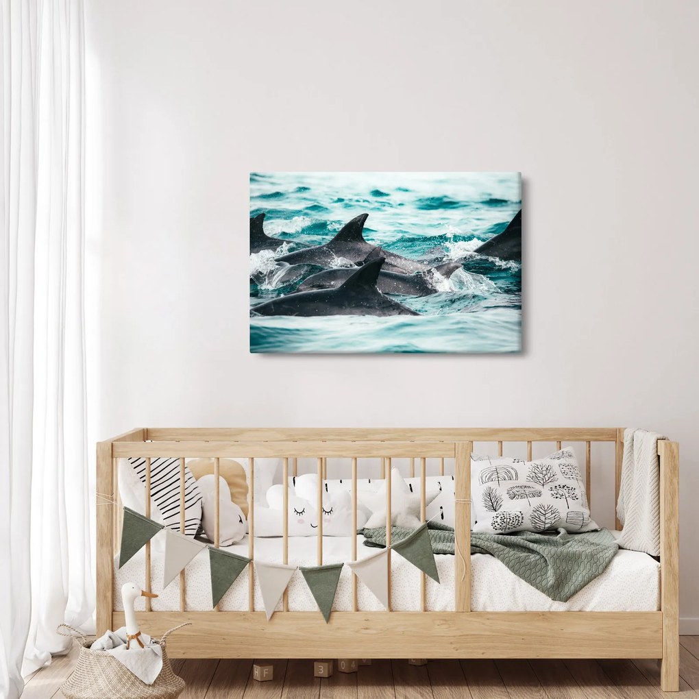 Obraz - Delfíny v oceáne (90x60 cm)