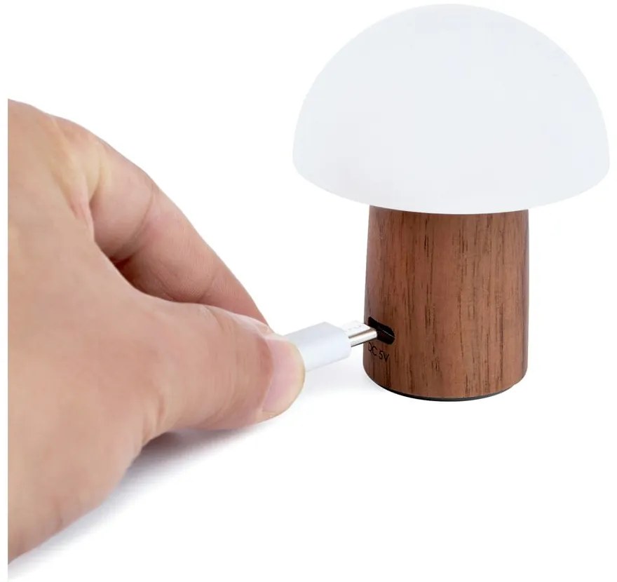 Biela/v tmavoprírodnej farbe LED stolná lampa (výška 7 cm) Alice Mushroom – Gingko