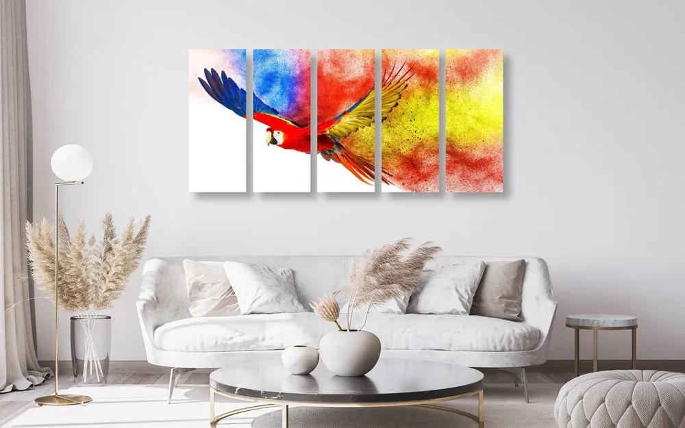 5-dielny obraz pestrofarebný letiaci papagáj