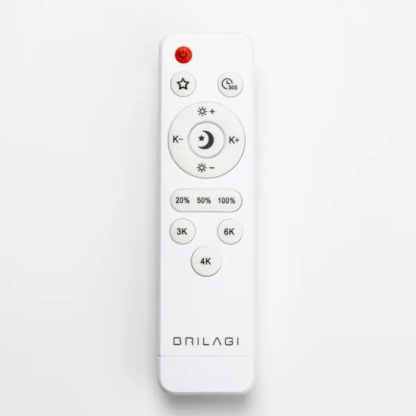 Brilagi - LED stlmiteľné stropné svietidlo PINE LED/24W/230V + diaľkové ovládanie