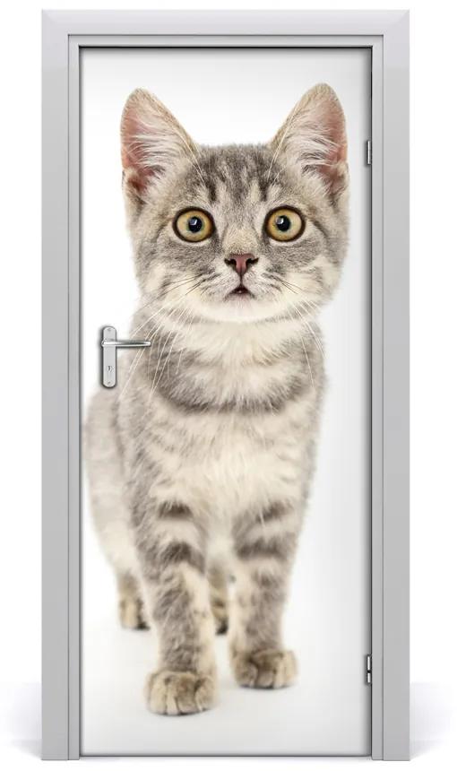Samolepiace fototapety na dvere sivá mačka 75x205 cm