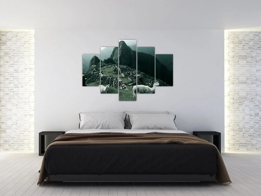 Obraz - Lamy na Machu Picchu v Peru (150x105 cm)