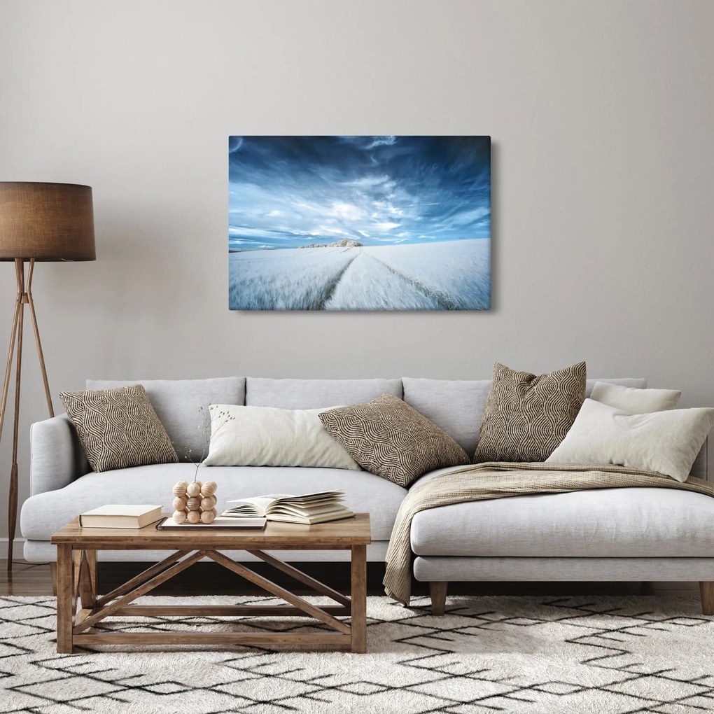 Obraz poľa (90x60 cm)