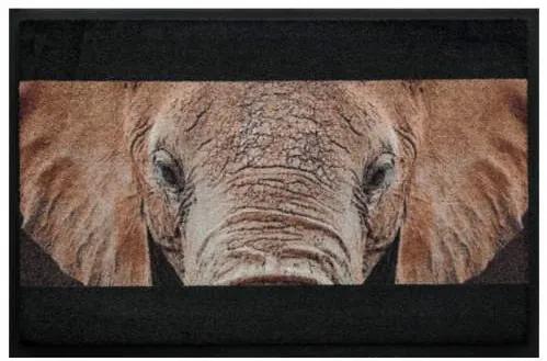 Premium rohožka- zvieratá - slon (Vyberte veľkosť: 100*70)