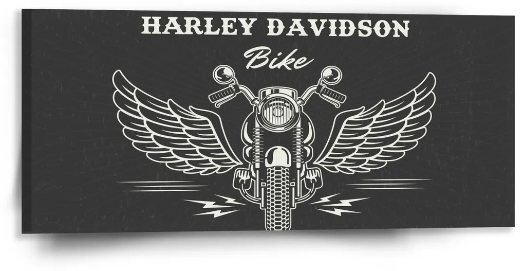 Sablio Obraz Harley-Davidson S krídlami - 110x50 cm