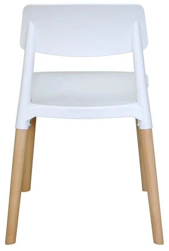 Jedálenská stolička GAMA — masív buk/plast, biela