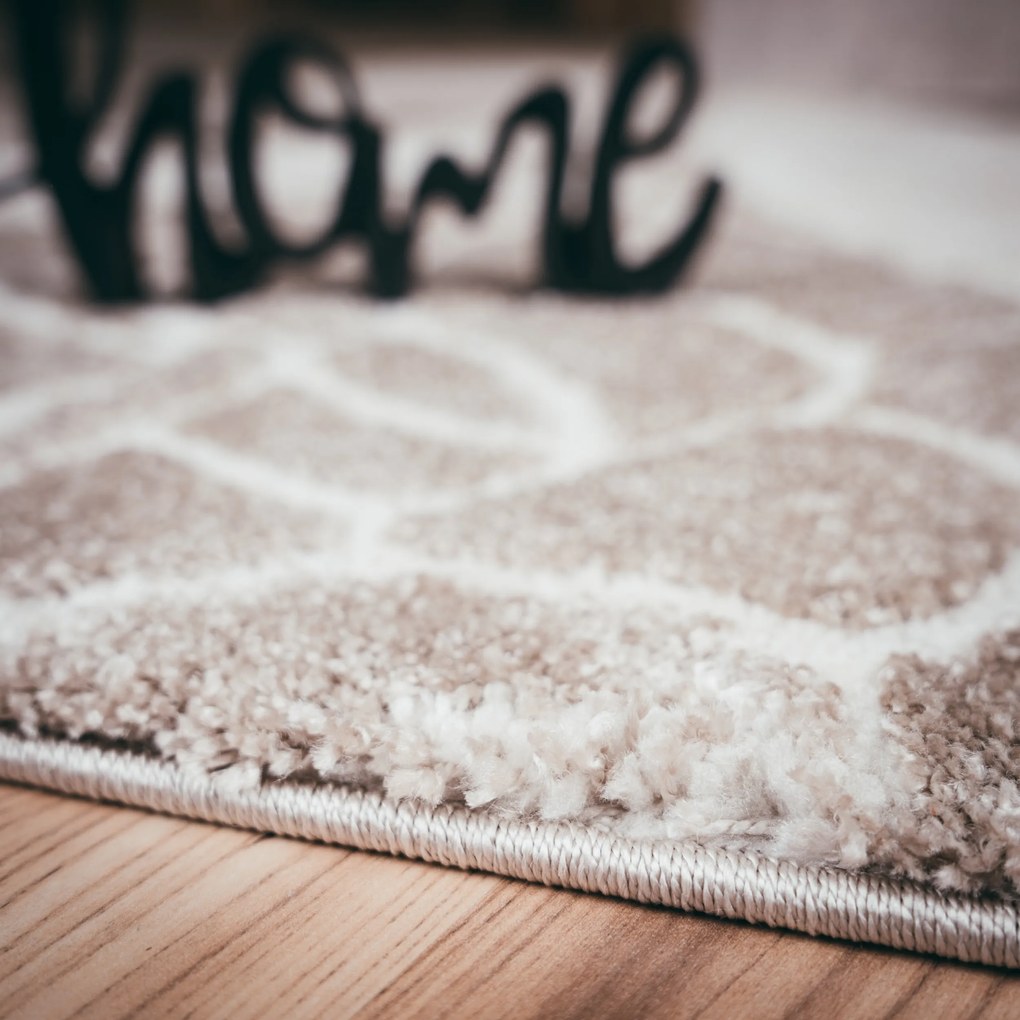 Kusový koberec My Frisco 280 Taupe, 240x330, hnedá, obývacia izba, Obsession