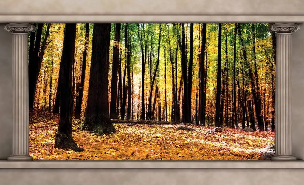 Fototapeta - Jesenný les (254x184 cm)