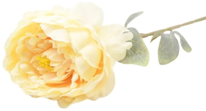 Paeonia 74cm krémová A2010681