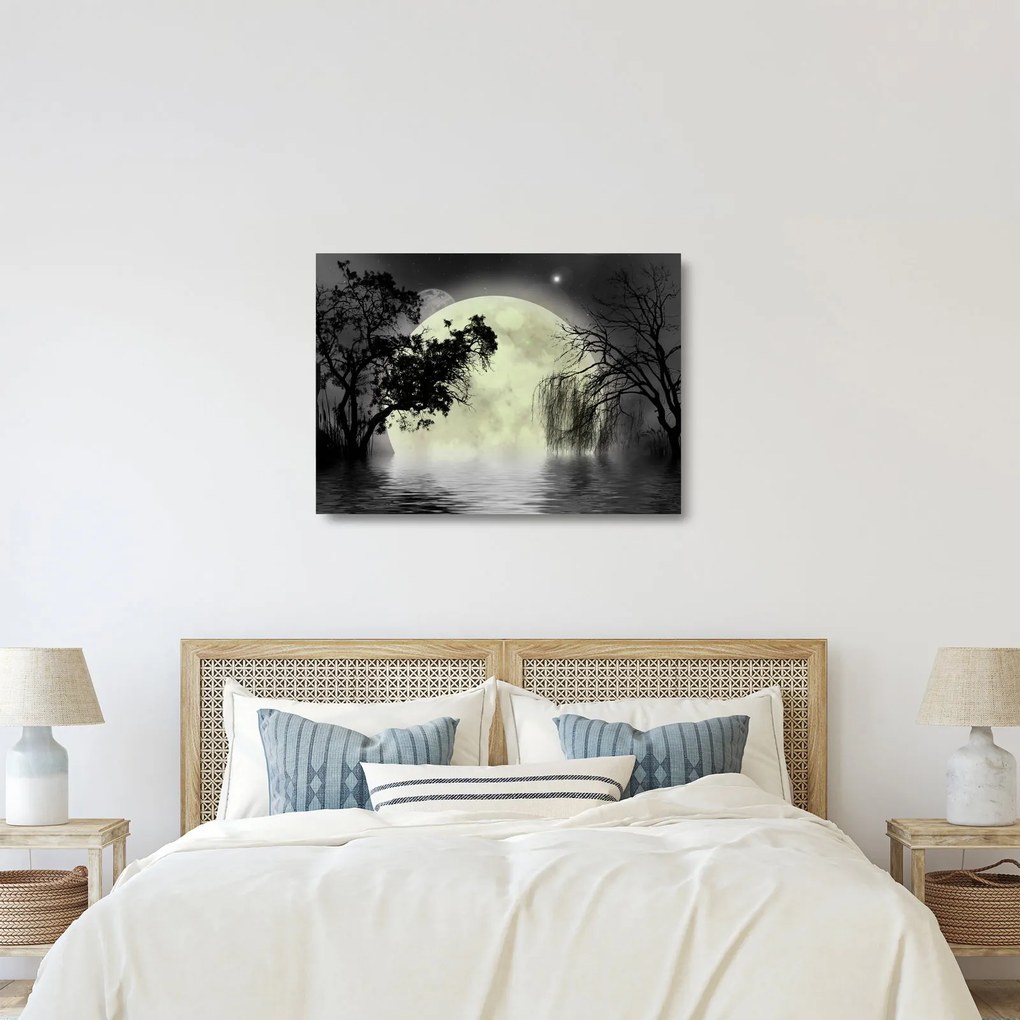 Sklenený obraz - Spln nad hladinou, čiernobiely variant (70x50 cm)