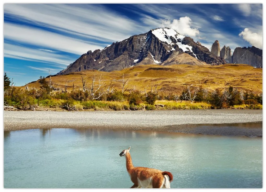 Obraz - Národný park Torres del Paine (70x50 cm)