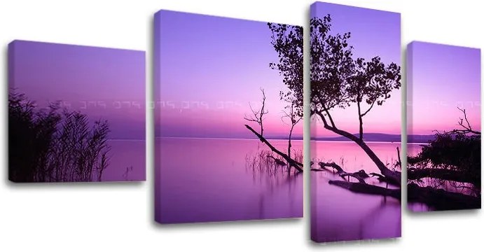 Obraz na plátne ZÁPAD SLNKA