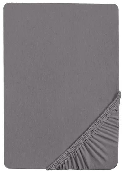 Biberna Napínacia džersejová plachta (180 – 200 x 200 cm, strieborná/sivá)  (100227068)
