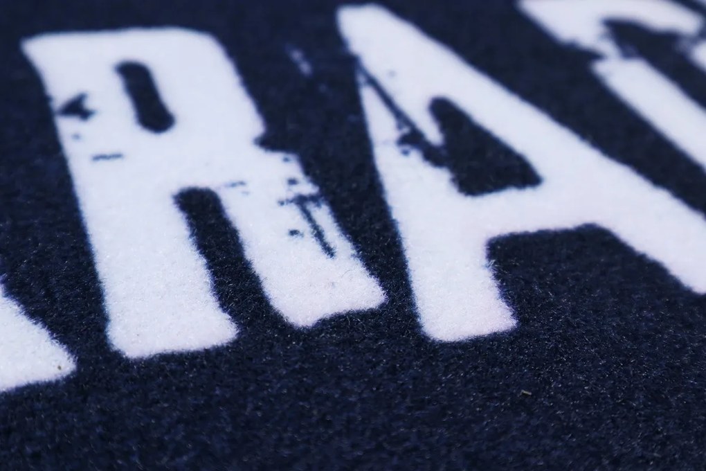 Rohožka Nepokradneš 40x60 cm, 40x60, modrá, Mercury Flooring