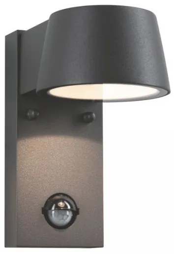 Paulmann 94453 - LED/6W IP44 Vonkajšie nástenné svietidlo so senzorom CAPEA 230V