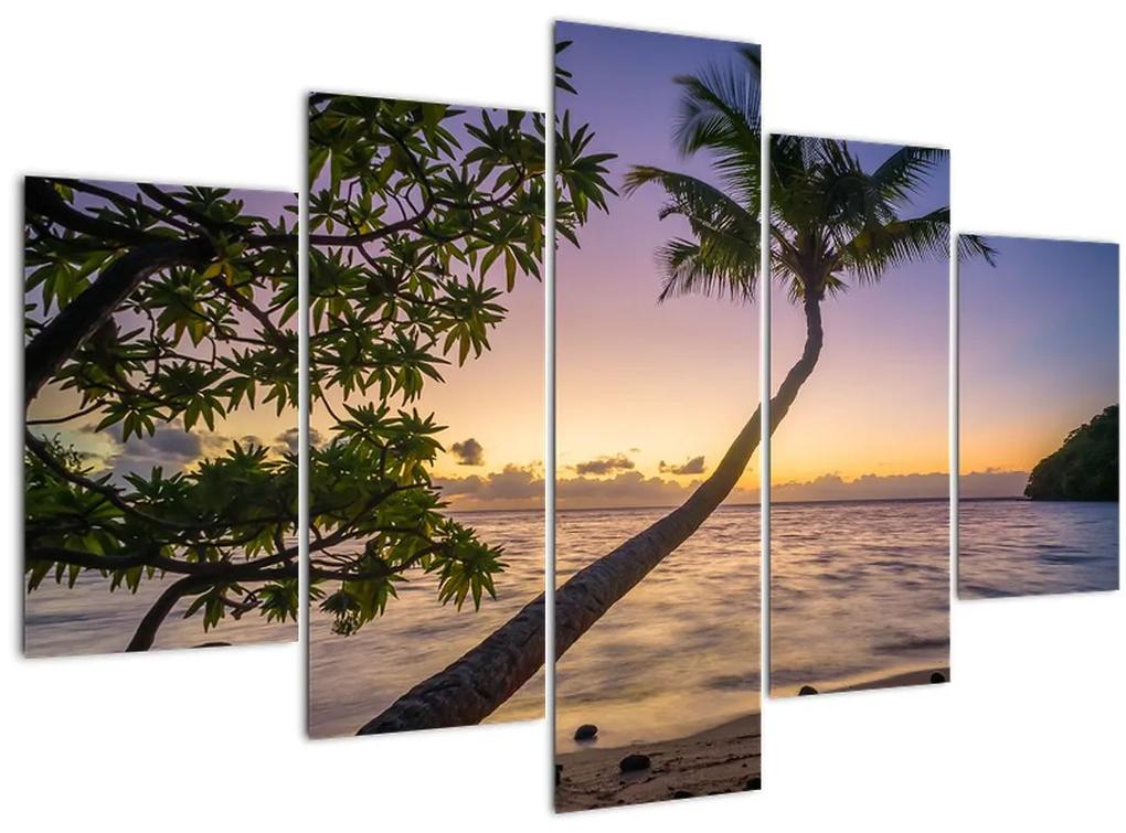 Obraz palmy na pláži (150x105 cm)