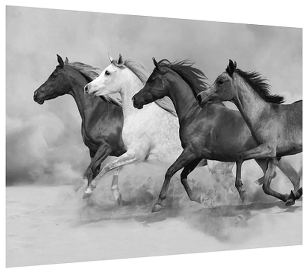 Čiernobiely obraz koní (70x50 cm)