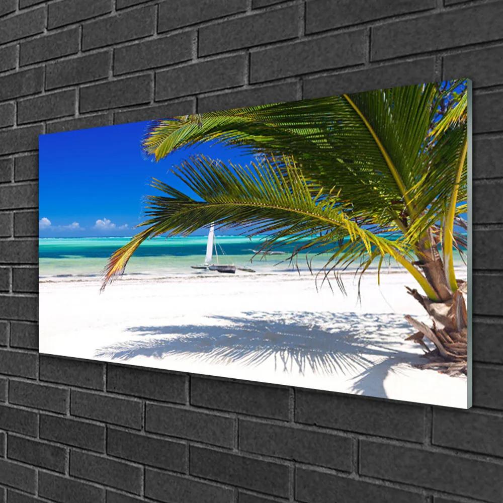 Skleneny obraz Pláž palma príroda 100x50 cm