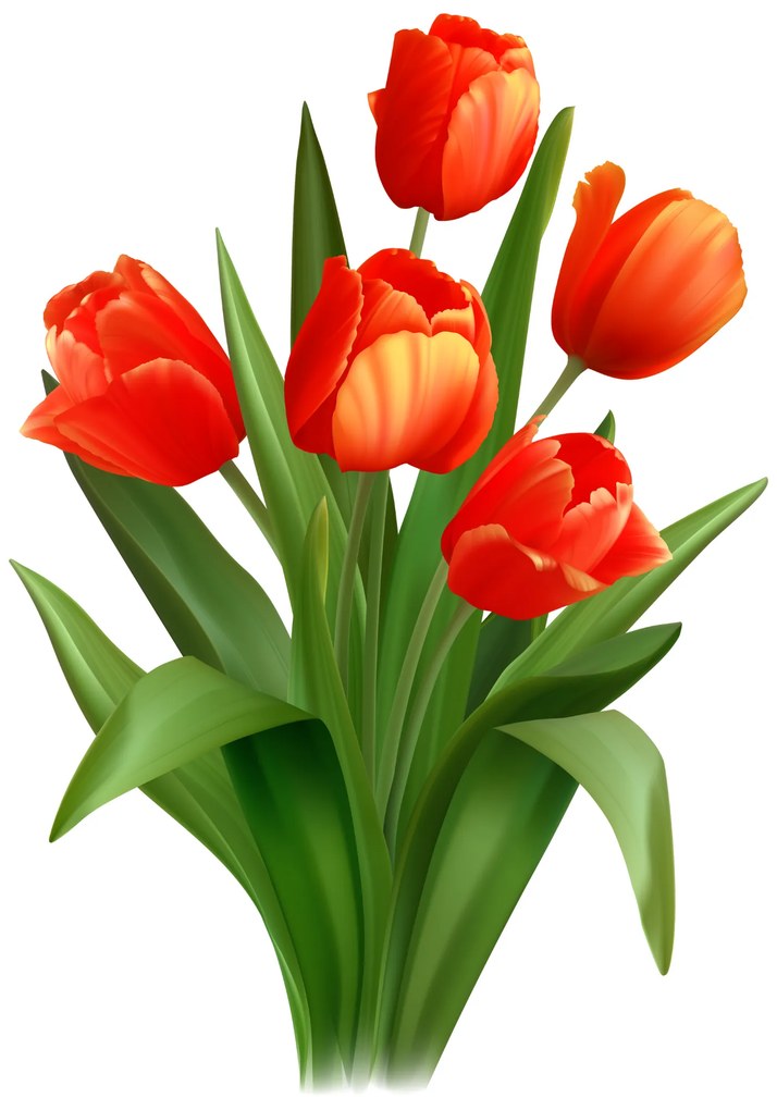 PIPPER. Červené tulipány - nálepka nad vypínač