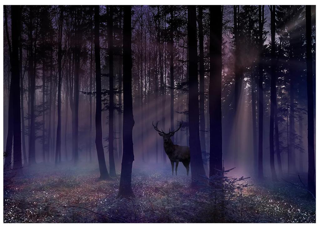 Artgeist Fototapeta - Mystical Forest - Second Variant Veľkosť: 100x70, Verzia: Premium