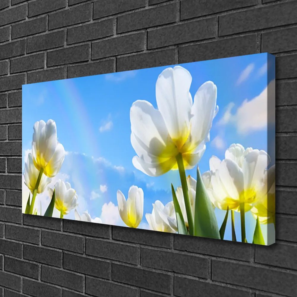 Obraz Canvas Rastliny kvety tulipány 120x60 cm