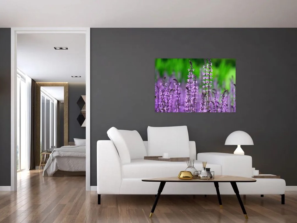 Obraz fialových lúčnych kvetov (90x60 cm)