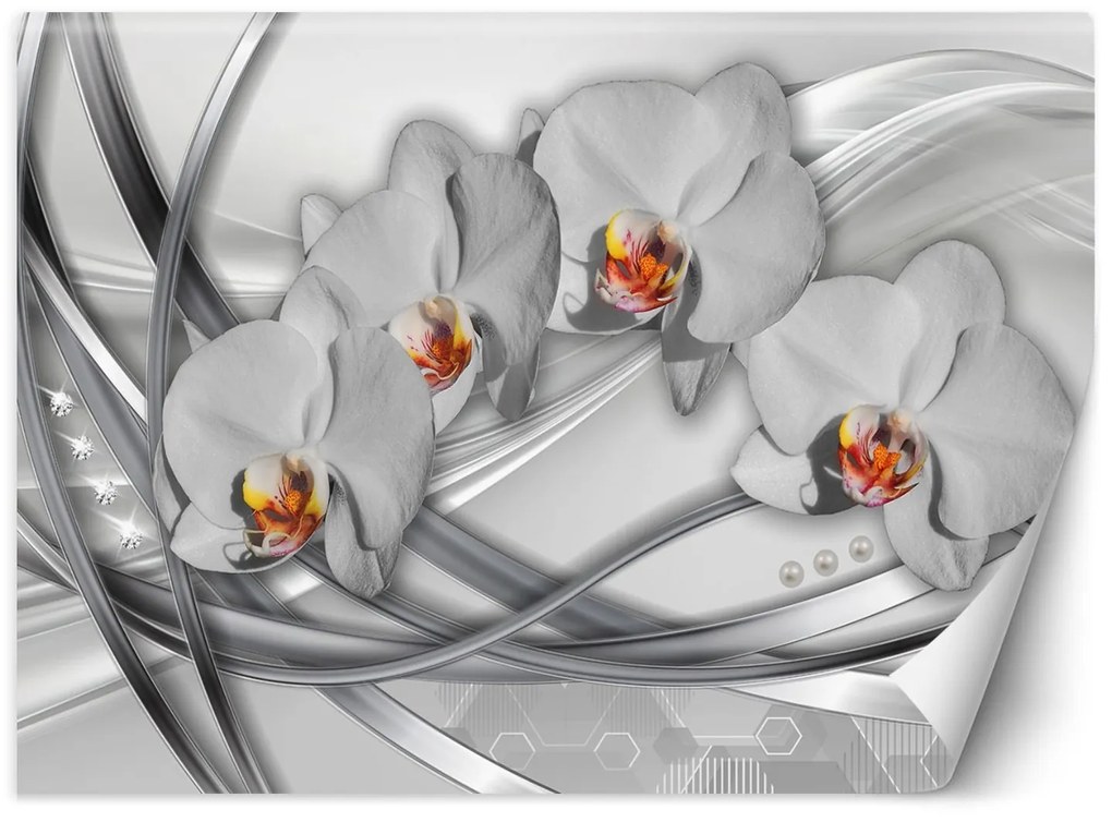 Gario Fototapeta Abstraktné orchidey Materiál: Vliesová, Rozmery: 150 x 105 cm
