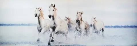 Obraz na plátne Stádo koní, 150x50 cm%