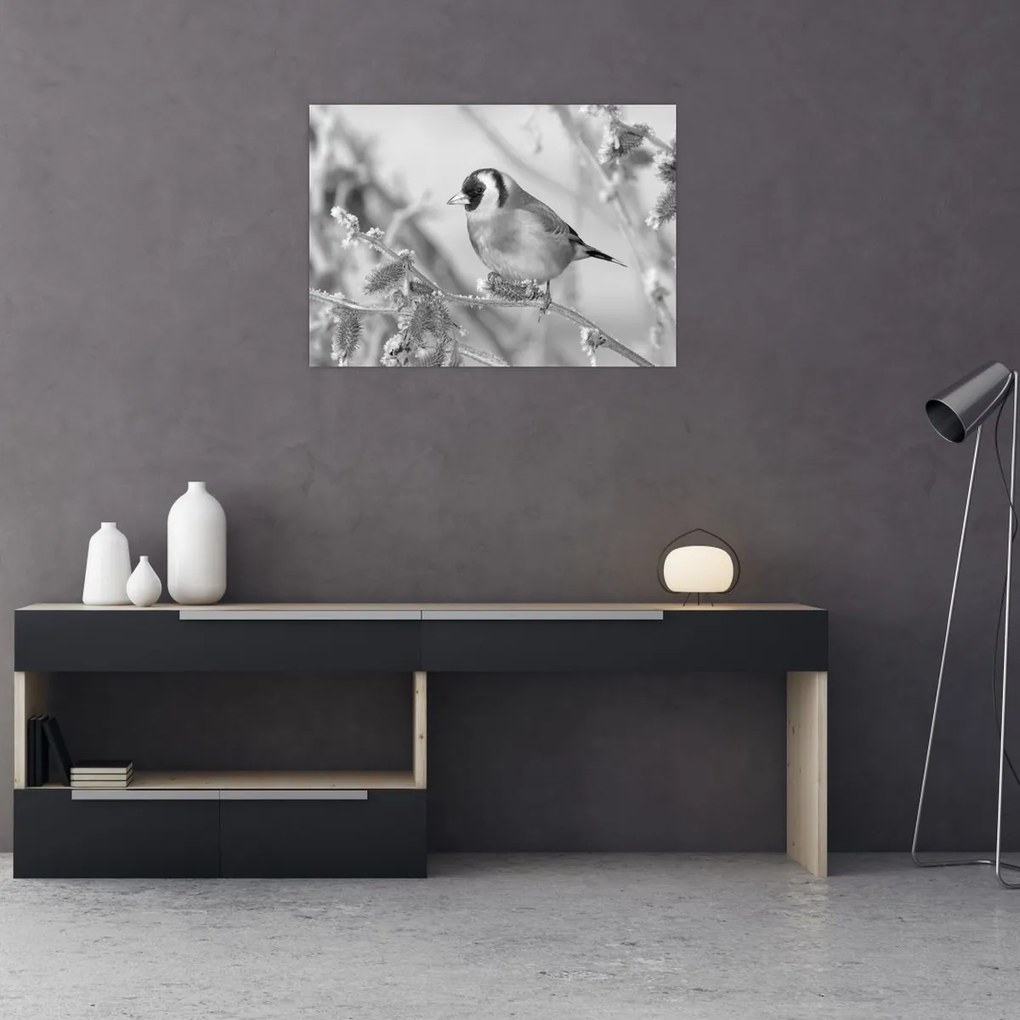 Obraz - Vtáčik v zime (70x50 cm)