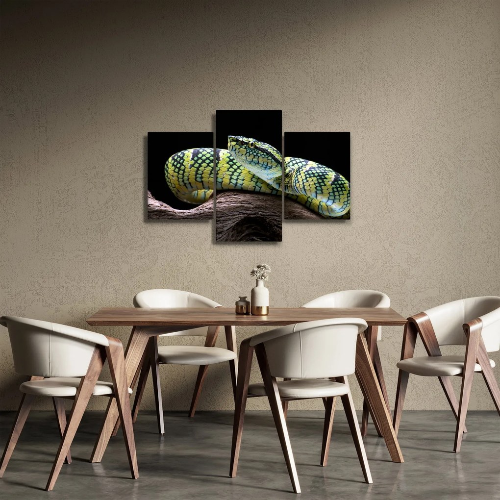 Obraz - Štrkáč Waglerov (90x60 cm)