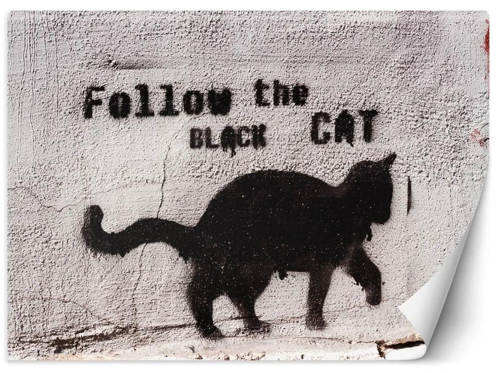 Fototapeta, Banksy Graffiti Černá kočka - 200x140 cm
