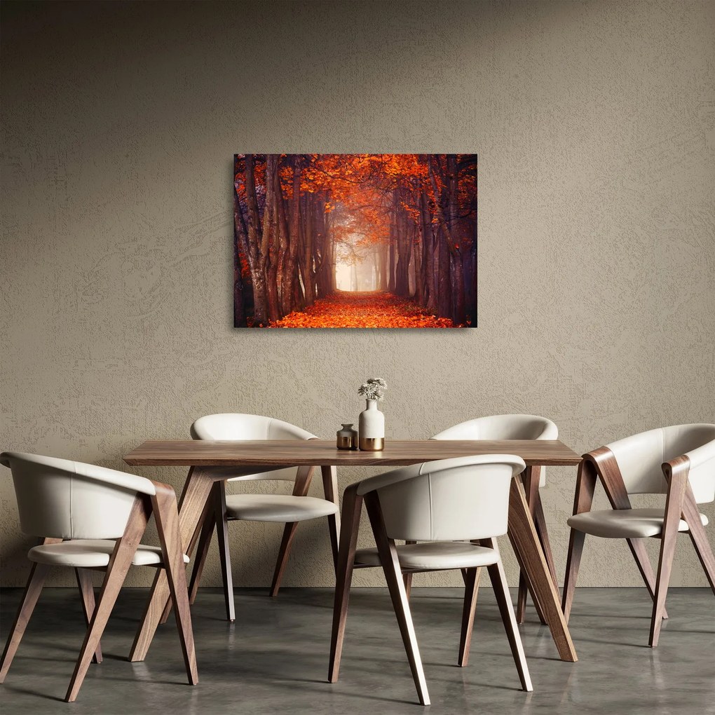 Sklenený obraz - Jesenné les (70x50 cm)