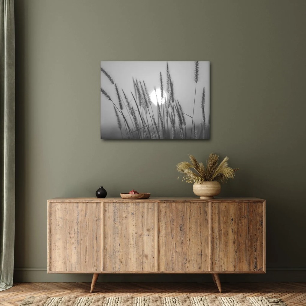 Obraz - Lúka pri západe slnka (70x50 cm)