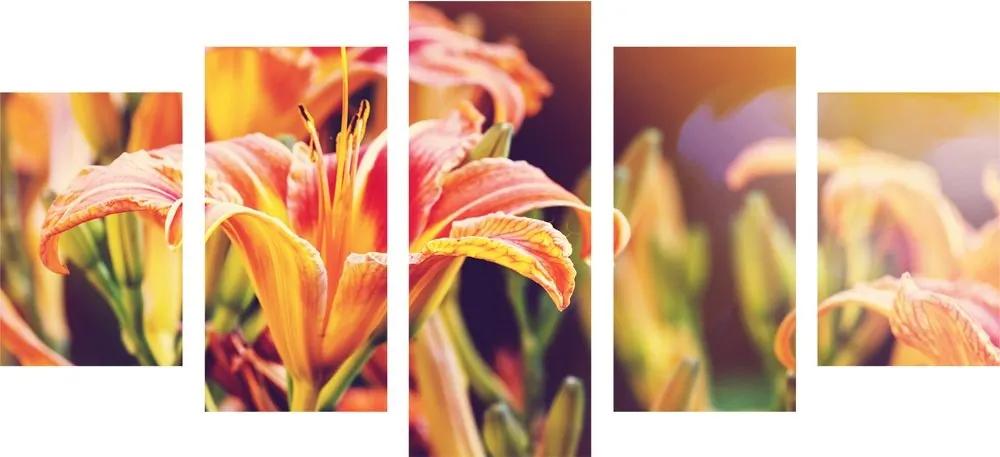 5-dielny obraz krásne kvitnúce kvety v záhrade - 200x100