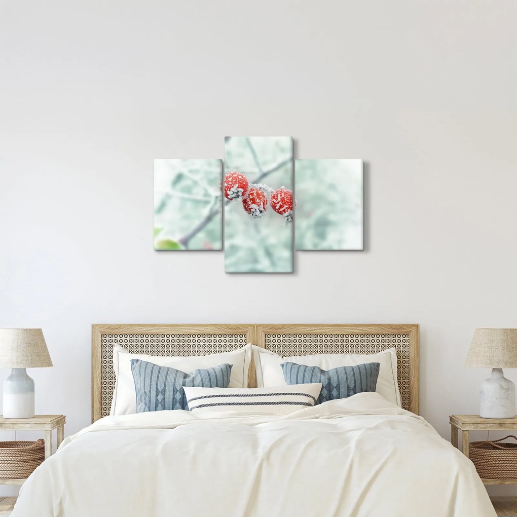 Obraz zmrznutých šípok (90x60 cm)