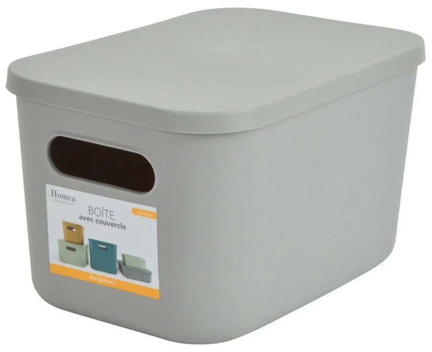 Sivý plastový úložný box s vekom 24,5x18x15 cm – Homéa