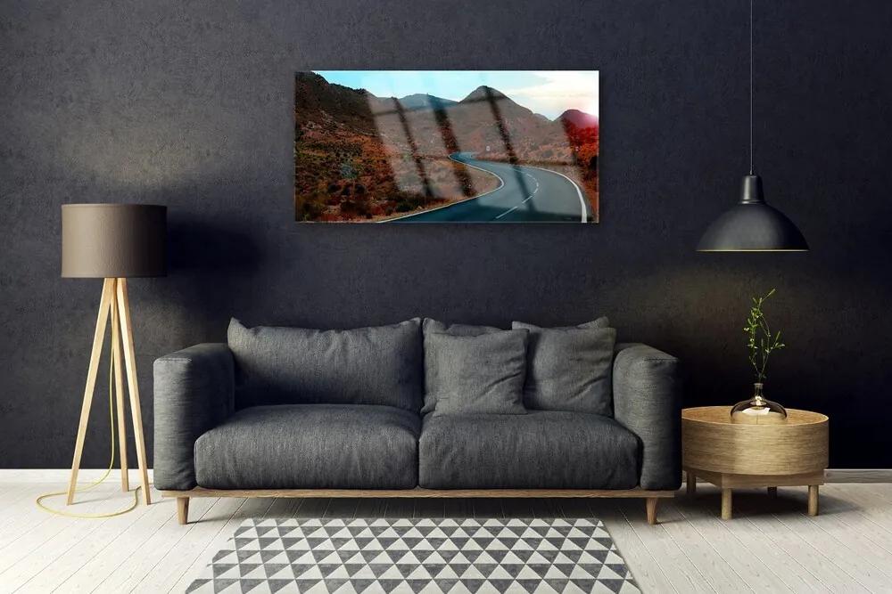 Obraz plexi Cesta hory púšť 100x50 cm