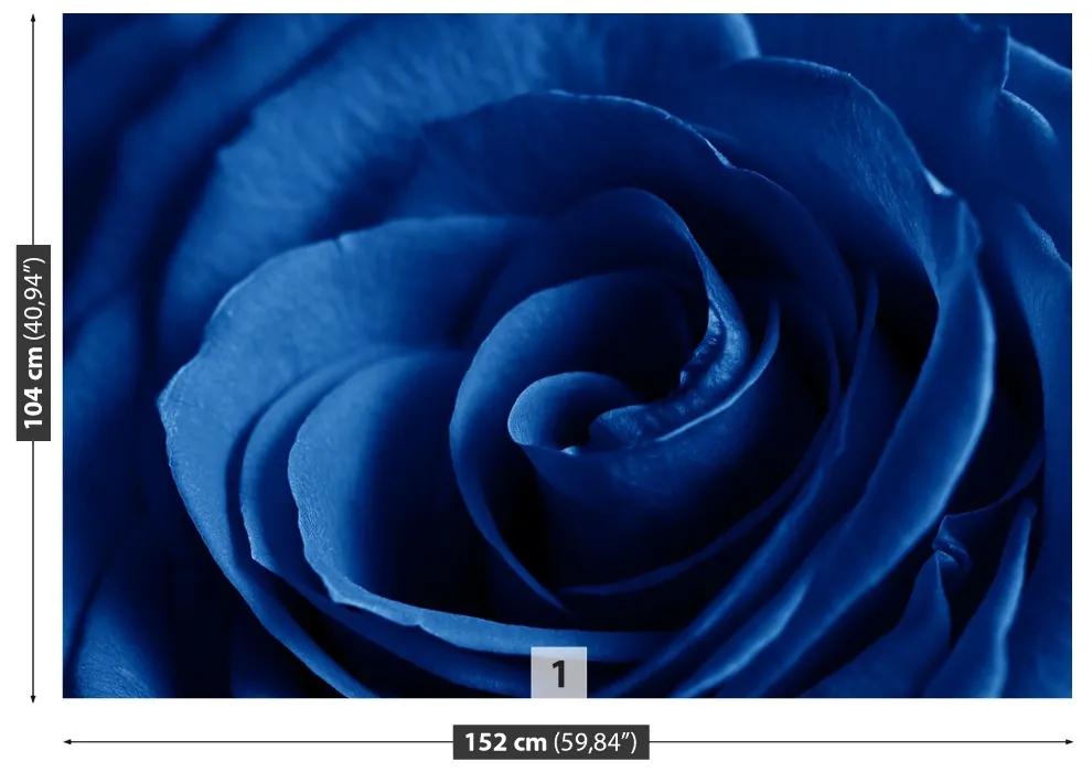 Fototapeta Vliesová Modrá ruža 250x104 cm