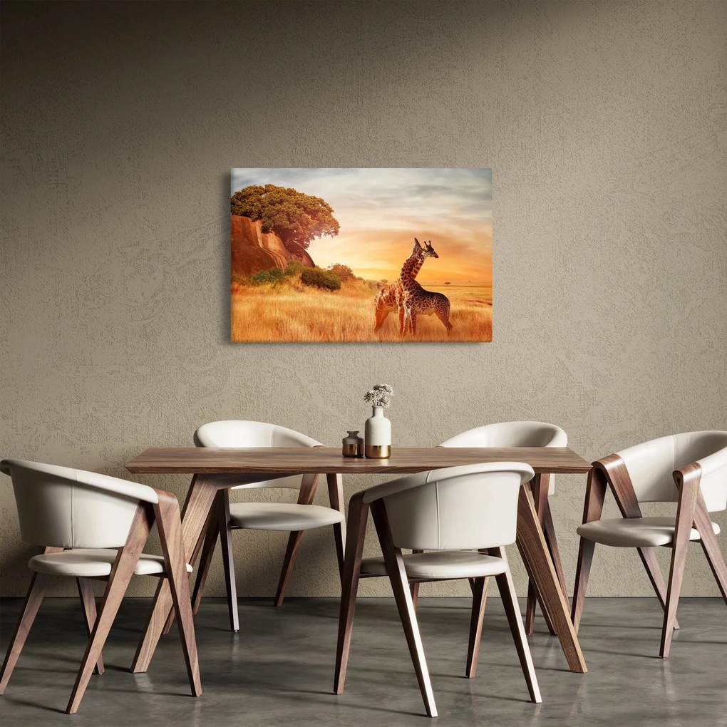 Obraz - Žirafy v Afrike (90x60 cm)