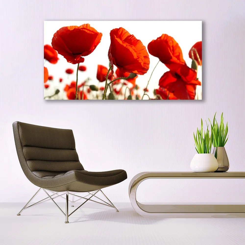 Obraz na akrylátovom skle Maky rastlina príroda 120x60 cm