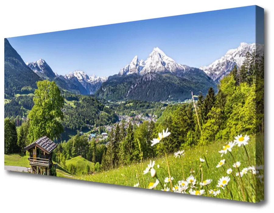 Obraz na plátne Hora pole príroda 100x50 cm