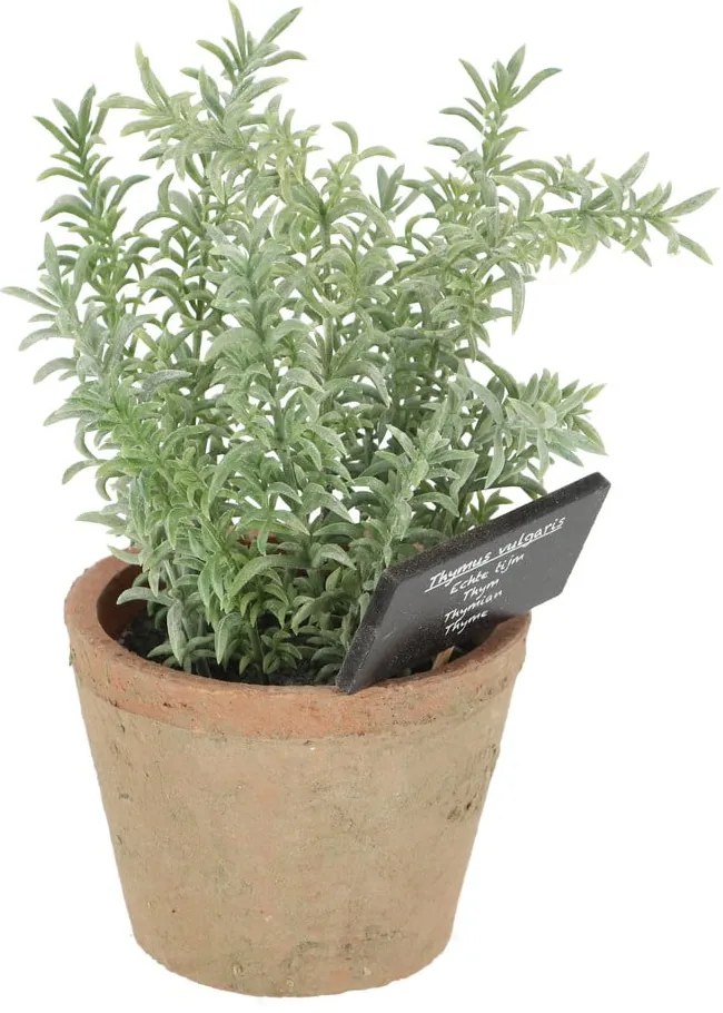 Umelá rastlina (výška 21,5 cm) Thyme – Esschert Design