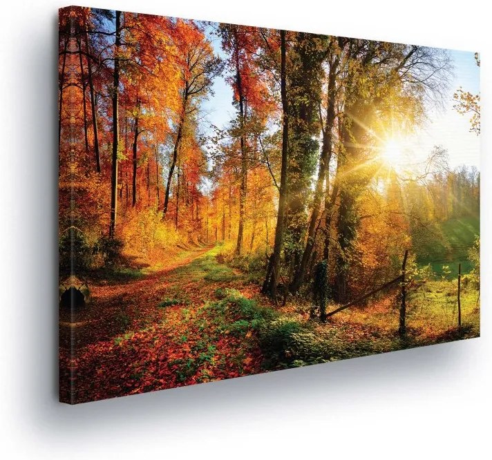GLIX Obraz na plátne - Autumn Leaves in the Woods 100x75 cm