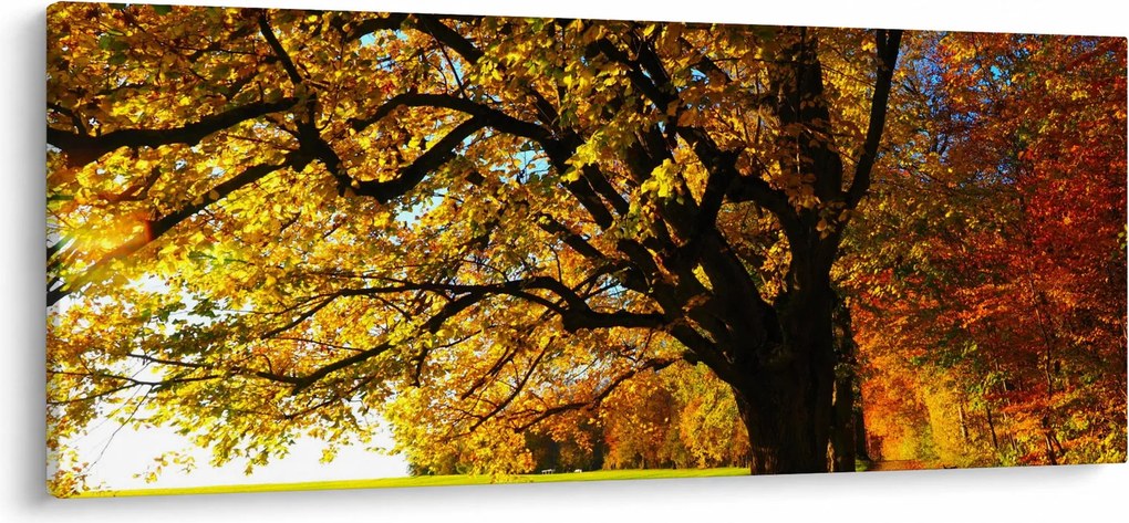 Obraz jesene (120x50 cm)
