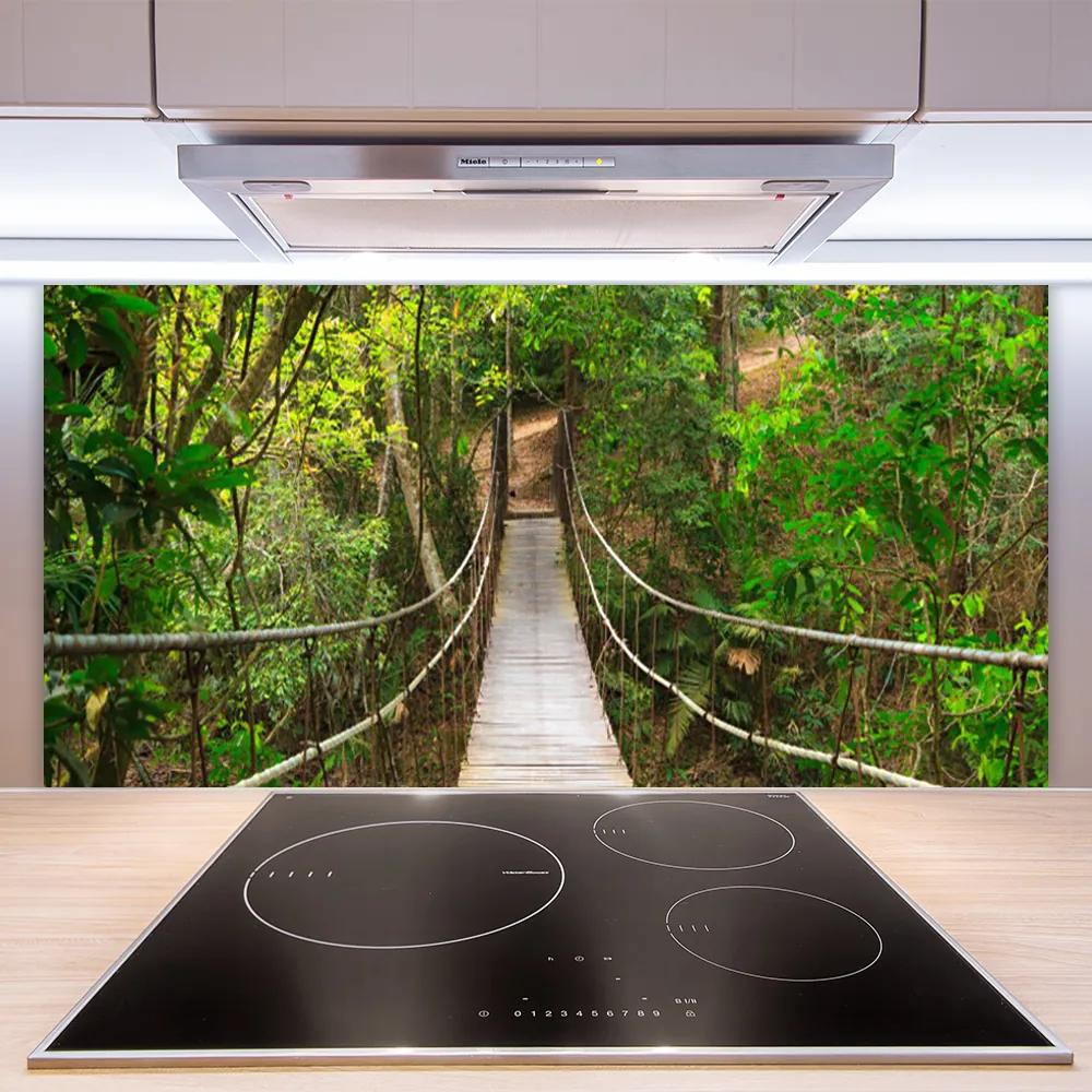 Sklenený obklad Do kuchyne Most džungľa tropický les 100x50 cm