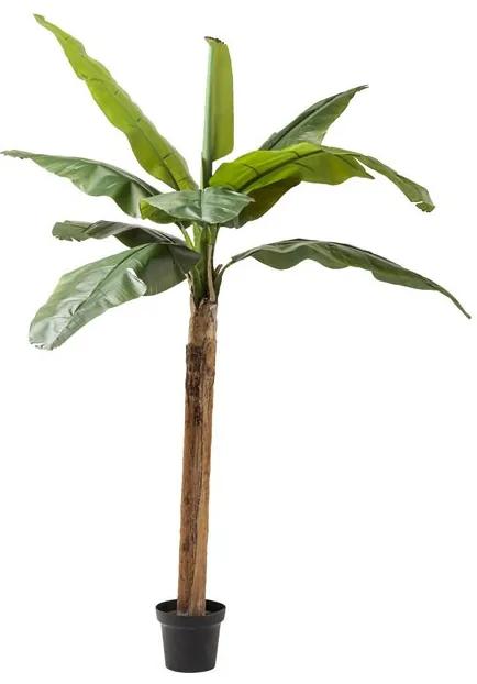 KARE DESIGN Dekoratívny predmet Plant Banana Tree 190 cm 190 × 40 × 20 cm