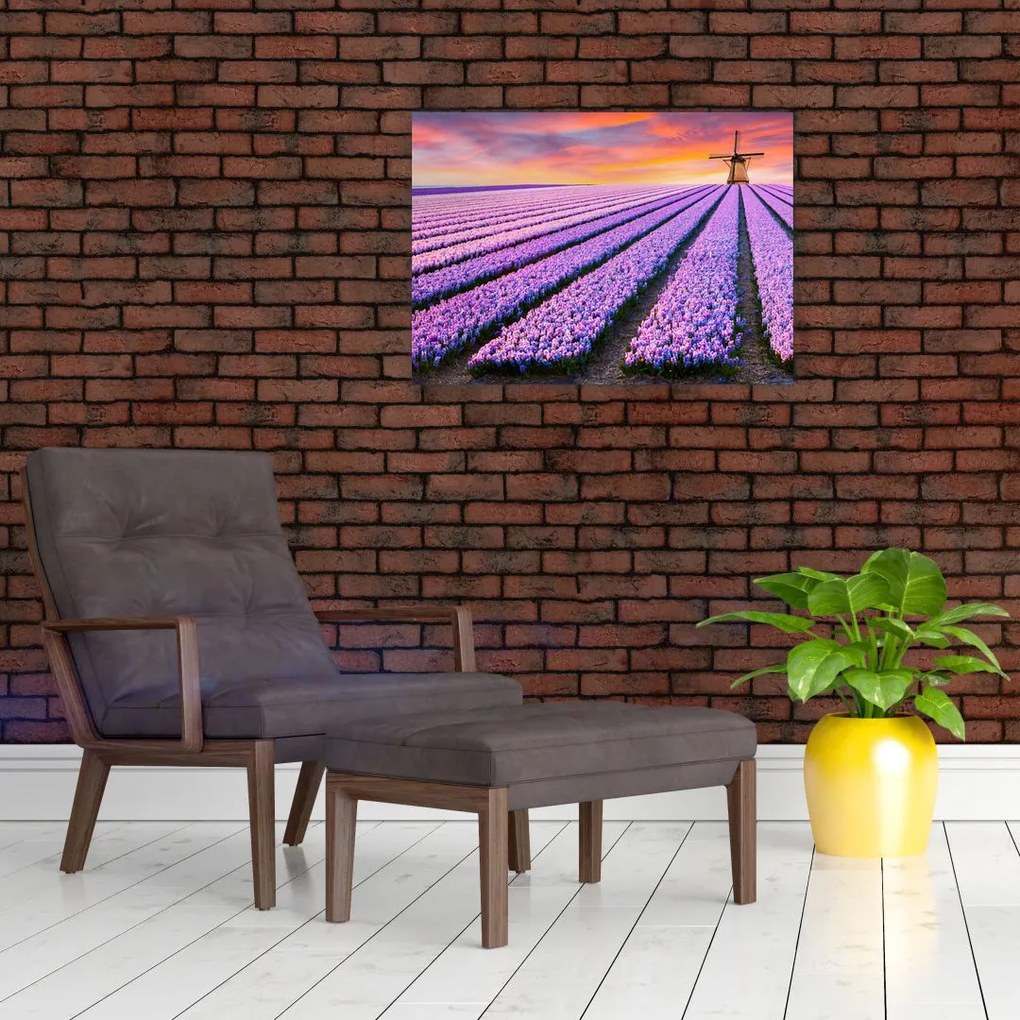 Obraz - kvetinová farma (70x50 cm)