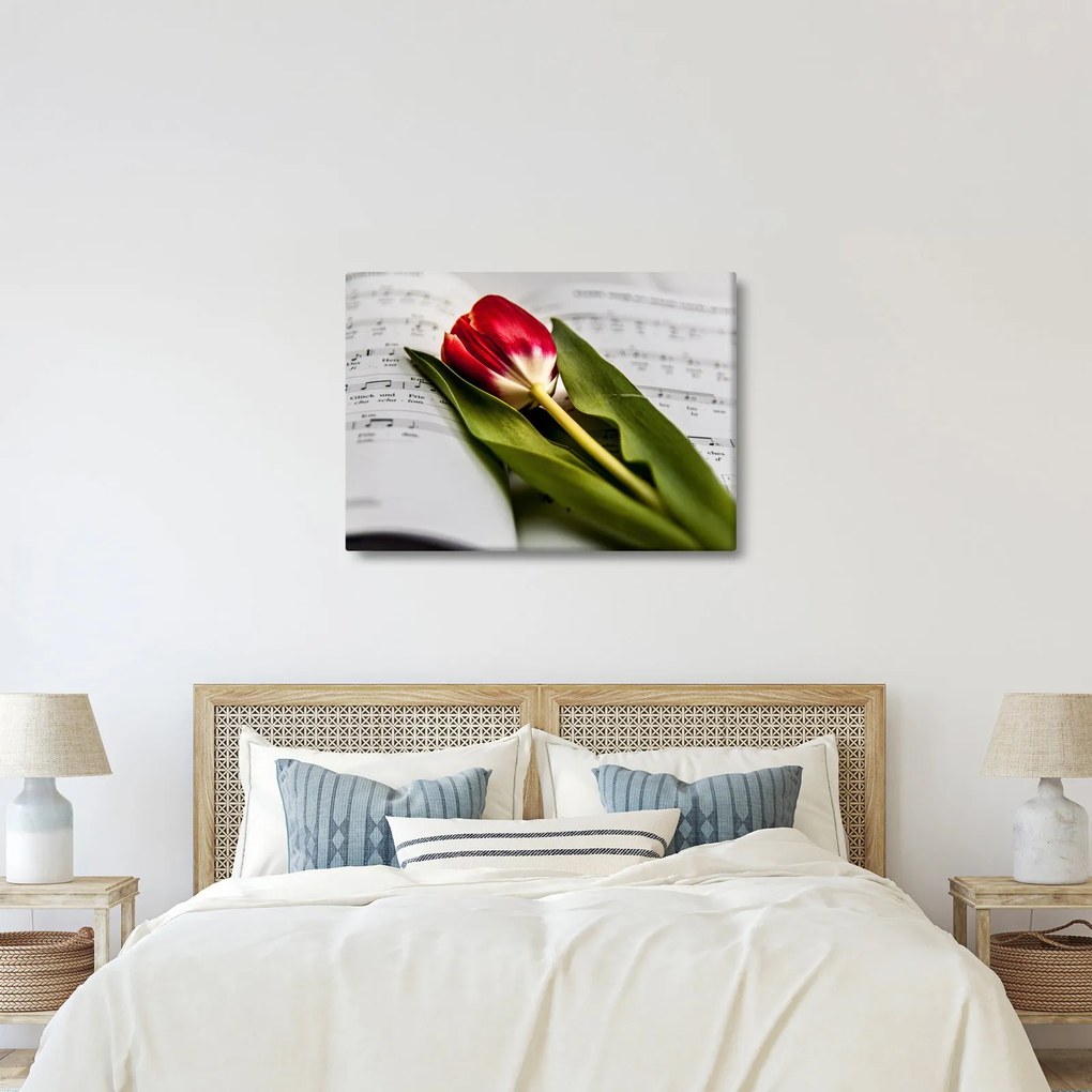 Obraz červeného tulipánu (70x50 cm)