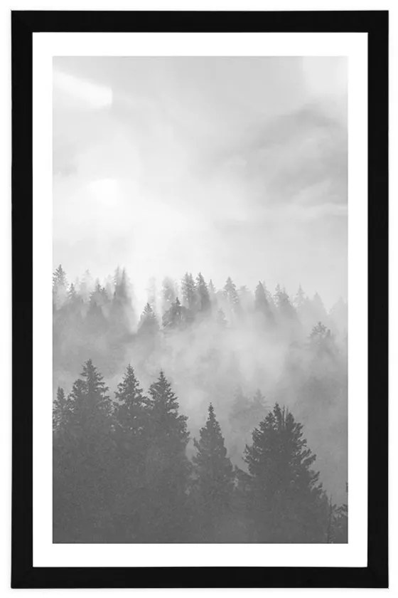 Plagát s paspartou hmla nad lesom v čiernobielom prevedení - 30x45 white