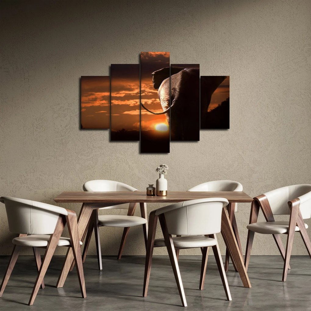 Obraz slona (150x105 cm)